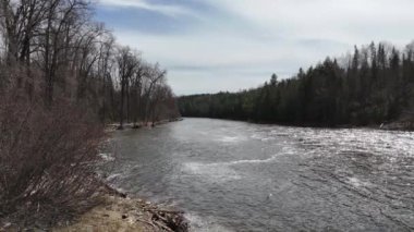 Kanada 'da tipik bir nehir yukarıdan güzel Kanada doğasına doğru uçuyor. İnsansız hava aracıyla seyahat ediyor.