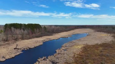 Ottawa yakınlarındaki ünlü park Mer Bleue Bataklığı bataklıkları ve çamurlu bölgeleriyle Kanada 'nın güzel doğası İHA ile seyahat fotoğrafçılığı