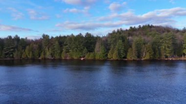 Kanada 'da çam ağaçlarıyla çevrili güzel bir gölün üzerinde uçmak - insansız hava aracı ile seyahat etmek