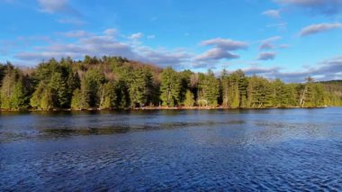 Tipik Kanada manzarası. Çam ağaçlarıyla çevrili güzel bir göl. Hava manzarası.
