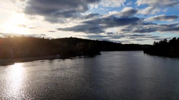 Typiskt Kanadensiskt Landskap Vacker Sjö Omgiven Tallar Antenn Utsikt Resor — Stockvideo