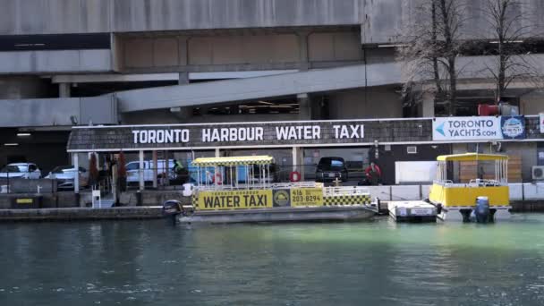Water Taxi Service Toronto Islands Toronto Canada Toronto Ontario Canada — Stock Video