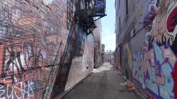 Piccolo Sporco Vicolo Con Tanti Graffiti Mercato Kensington Toronto Toronto — Video Stock