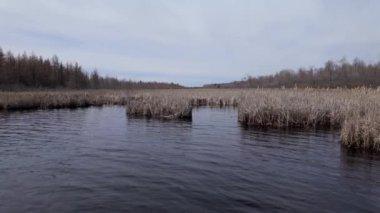 Ottawa yakınlarındaki Mer Bleue Ulusal Koruma Alanı - seyahat fotoğrafçılığı