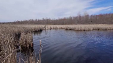 Ottawa yakınlarındaki Mer Bleue Ulusal Koruma Alanı - seyahat fotoğrafçılığı