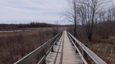 Ottawa yakınlarındaki Mer Bleue Ulusal Koruma Alanı - seyahat fotoğrafçılığı
