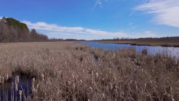 Mer Bleue National Conservation Area Ottawa Travel Photography — Stock Video