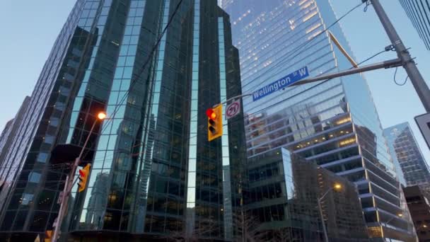 Royal Bank Canada Rbc Bank Wellington Avenue Toronto Toronto Canada — Αρχείο Βίντεο