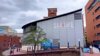 Sea Life Birmingham Müzesi - Doğum Tarihi, Birleşik Krallık KINGDOM - 23 Mayıs 2024