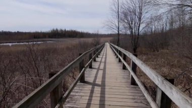 Ottawa yakınlarındaki Mer Bleue Ulusal Koruma Alanı - seyahat fotoğrafçılığı