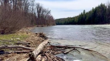 Quebec Kanada 'daki güzel Plaisance Ulusal Parkı - seyahat fotoğrafçılığı Kanada