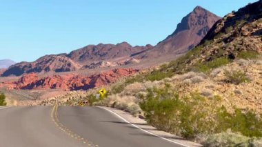 Arizona çölünde yalnız yol - seyahat fotoğrafçılığı