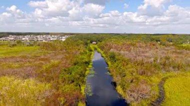 Florida otlakları ve Everglades yemyeşil bataklık ekosistemi güzelliğini vurguluyor