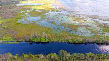 Florida otlakları ve Everglades yemyeşil bataklık ekosistemi güzelliğini vurguluyor