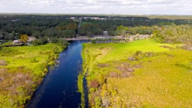 Florida otlakları ve Everglades yemyeşil bataklık ekosistemi güzelliğini vurguluyor