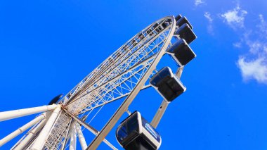 Miami Florida Bayfront Park 'ta Skywheel - MIAMI, FLORIDA - 5 Kasım 2024