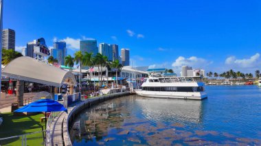 Bayside Marina ve Pier 5 Miami Florida Bayfront Park 'ta - MIAMI, FLORIDA - 5 Kasım 2024