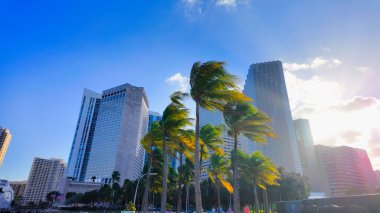 Güneşli bir günde Miami 'deki güzel Bayfront Parkı - MIAMI, FLORIDA - 5 Kasım 2024