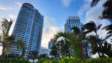 Miami Beach 'teki South Pointe State Park dinlenmek için popüler bir yerdir - MIAMI, FLORIDA - 5 Kasım 2024