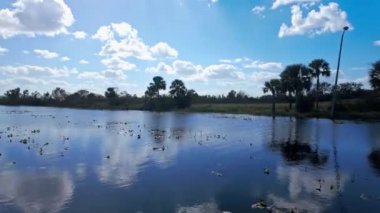 Lush Reflections ve Blue Sky ile Serene Water Landscape - seyahat fotoğrafçılığı