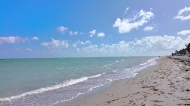 Key Biscayne Miami 'deki güzel tropik plaj - seyahat fotoğrafçılığı