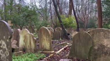 Huzurlu ve huzurlu bir mezarlık sahnesi, yıpranmış yaşlı mezar taşlarıyla birlikte yemyeşil alanlarla kaplıdır - Londra, BİRLİK KINGDOM - 20 Aralık 2024