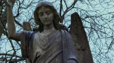 Yıpranmış ve yaşlanmış bir taş melek heykeli zarif bir şekilde çevresini saran canlı ve gür yaprakların arasına yerleştirilmiştir. Seyahat fotoğrafçılığı.