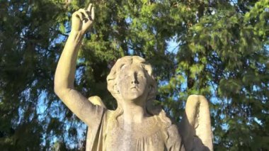 Gerrards Cross London Mezarlığı - seyahat fotoğrafçılığı