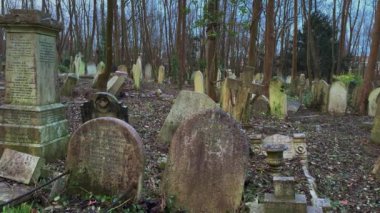 Yeşilliklerle çevrili tarihi bir mezarlığın huzurlu atmosferine dalın Londra, KINGDOM - 20 Aralık 2024