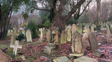 Londra Mezarlığı En eski mezarlıklar - Londra, Birleşik KINGDOM - 20 ARALIK 2024