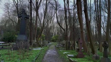 Ağaçlar ve mezar taşları tarafından çerçevelenmiş sakin bir patika, derin bir yansımayı davet ediyor - Londra, BİRLİK KINGDOM - 20 Aralık 2024