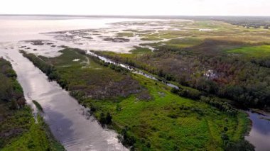 Florida otlakları ve Everglades yemyeşil bataklık ekosistemi güzelliğini vurguluyor