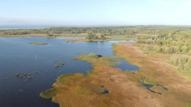 Portumna İrlanda 'daki Lough Derg - berrak mavi gökyüzü altında dingin suları ve canlı yeşilliğiyle sakin bir göl manzarası, rahatlamayı davet ediyor.