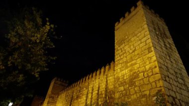 Geceleri ağaçlar ve sokak lambalarıyla parlayan Sevilla Alcazar yakınlarında yürüyen turistler - SEVILLE, SPAIN - 25 Mart 2025