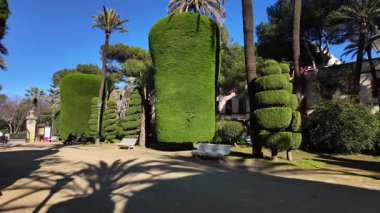 Cadiz, Endülüs, İspanya 'daki Ceneviz Parkı' nda yetişen yeşil çalılar ve ağaçlar - CADIZ, İspanya - 26 Mart 2025