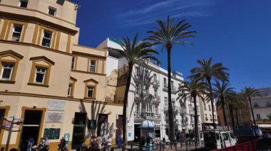 Geleneksel Endülüs mimarisi ve palmiye ağaçları güneşli bir günde İspanya 'nın Cadiz şehrinde bir caddeye diziliyorlar - CADIZ, SPAIN - 26 Mart 2025