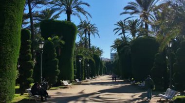 İspanya 'nın Cadiz kentindeki güzel Ceneviz Parkı' nda güneşli bir kış gününde yürüyen turistler CADIZ, SPAIN - 26 Mart 2025