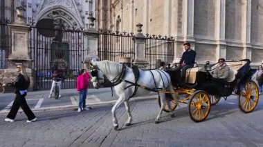 Beyaz at, güneşli bir günde İspanya 'nın Sevilla Katedrali yakınlarında turistlerle siyah bir araba sürüyor. SEVILLE, SPAIN - 25 Mart 2025