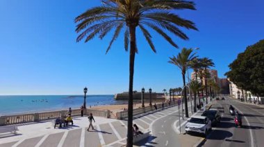 İspanya, Endülüs 'te palmiye ağaçları, plaj ve açık mavi gökyüzü ile Cadiz deniz manzarası - CADIZ, İspanya - 26 Mart 2025