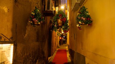TROPEA, İtalya - Haziran 02, 2025 Tropea, İtalya 'da gece kırmızı halıyla süslenmiş çiçek saksıları asma