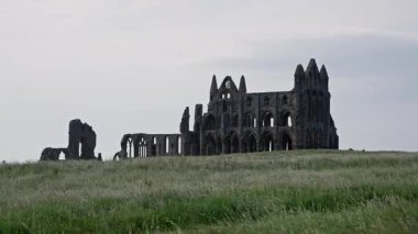 Whitby Abbey 'nin kalıntıları İngiltere' nin North York Moors Ulusal Parkı 'ndaki çimenli bir tepenin üzerinde dramatik bir manzara yaratıyor.
