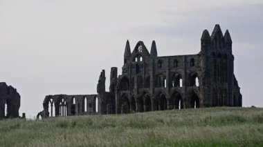 Whitby Abbey 'nin kalıntıları, İngiltere' nin Whitby kentindeki Kuzey York Moors Ulusal Parkı 'na bakan bir tepenin üzerinde durmaktadır.