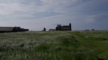 Kuzey York Moors Ulusal Parkı 'ndaki rüzgârlı bir çayıra bakan Whitby Abbey harabelerinin manzarası.