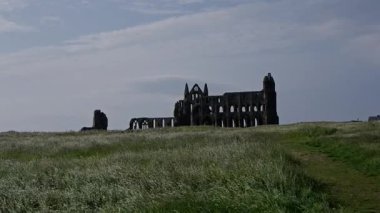 Whitby Abbey harabelerinin manzarası Kuzey York Moors Ulusal Parkı, İngiltere 'de hakim yeşil manzara