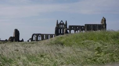 Kuzey York Moors Ulusal Parkı 'ndaki bir çayıra bakan Whitby Abbey harabelerinin manzarası.