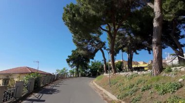 PIZZO, İtalya - 3 Haziran 2025 - Pizzo, Calabria, İtalya 'da, güneşli bir günde çam ağaçları ve evlerle çevrili dolambaçlı bir yolun manzarası