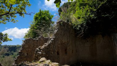 Zungri, Calabria, Güney İtalya 'da bulunan bitki örtüsüne batmış antik rupestrian kilisesi.