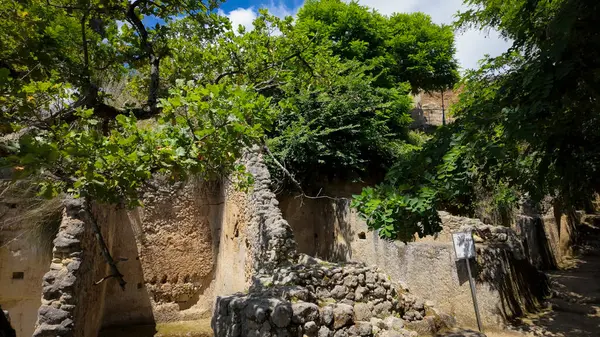 Zungri, Calabria, İtalya 'daki bitki örtüsüne batırılmış, kumtaşı kayasına oyulmuş antik bir rupester köyü.