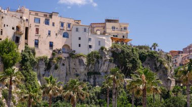Tropea, Calabria, İtalya 'da palmiye ağaçları ve bitki örtüsüne bakan kayalıklardaki beyaz binalar