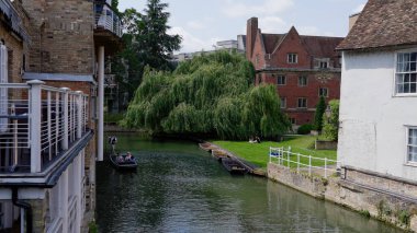 CAMBRIDGE, İngiltere - 11 Haziran 2025 - Turistler, Cambridge, İngiltere 'de, arka planda, demirlemiş tekneli ve ağlayan bir söğüt ağacının yakınındaki River Cam' de turun keyfini çıkarıyorlar.